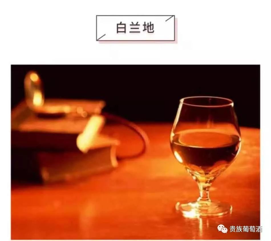 威士忌與白蘭地的喝法_威士忌酒與白蘭地酒的區別_白蘭地酒與威士忌酒的區別