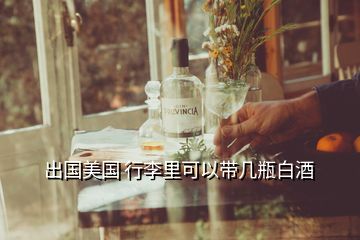 白酒坐飛機(jī)可以帶嗎_飛機(jī)能帶酒嗎白酒_飛機(jī)可以攜帶白酒登機(jī)嗎